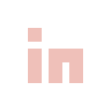 LinkedIn icon